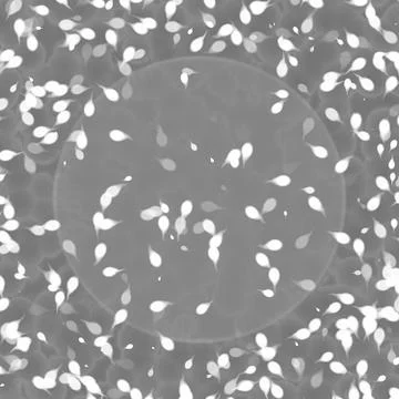 Bacteria under microscope Stock Illustration