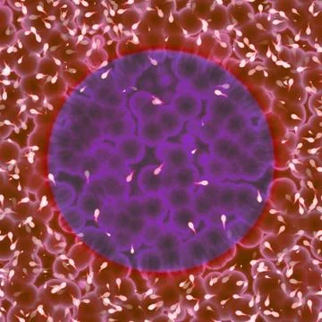 Bacteria under microscope Stock Illustration