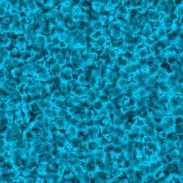 Bacteria under microscope Stock Illustration