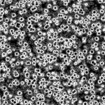 Bacteria under microscope Stock Illustration