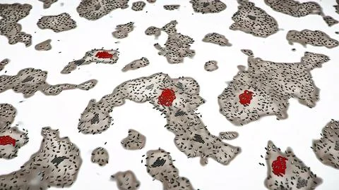 Bacteria Under The Microscope. Illustrazione stock