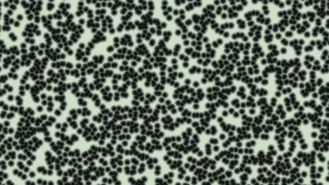 Bacteria under the microscope on a light background Stock Footage 153669016