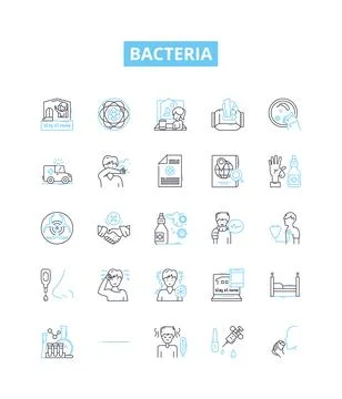 Bacteria vector line icons set. Bacterium, Microbe, Pathogen, Streptococcus Stock Illustration