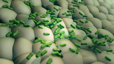 Bacteria verte Stock Illustration
