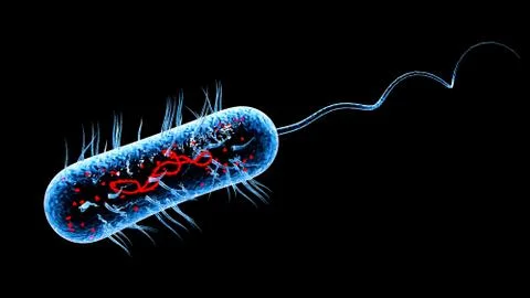 Bacteria virus 3D render Stock Illustration