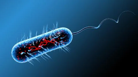 Bacteria virus 3D render Stock Illustration