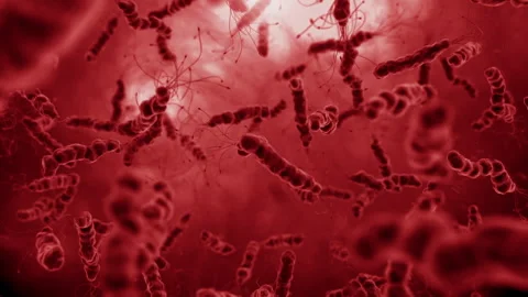 Bacteria virus cell animation video Video stock 310218925