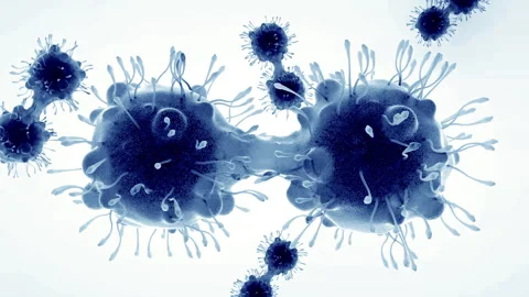 Bacteria virus cell animation video Video stock 310219604