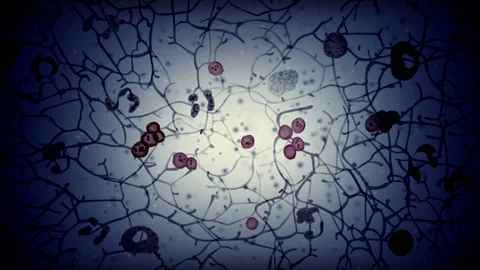 Bacteria virus microbe microorganisms animation Video stock 91816104