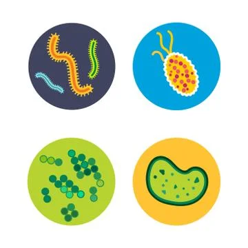 Bacteria virus microscopic isolated microbes icon human microbiology organism Stock Illustration