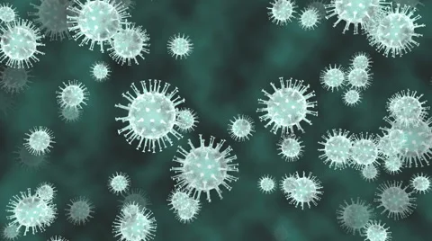 Bacteria, virus - seamless looping Video stock 45434447