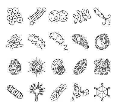 Bacteria virus set featuring staphylococcus Stock Illustration