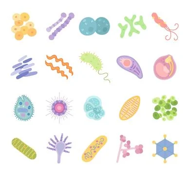 Bacteria virus set featuring staphylococcus Stock Illustration