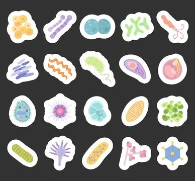 Bacteria virus set featuring staphylococcus Stock Illustration
