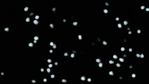 Bacteria virus under a microscope, imitation from particles. black background Stock Footage 212018670