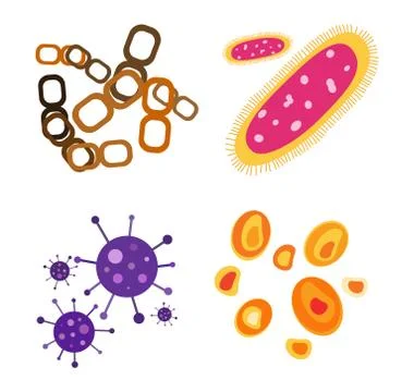 Bacteria virus vector icon Stock Illustration