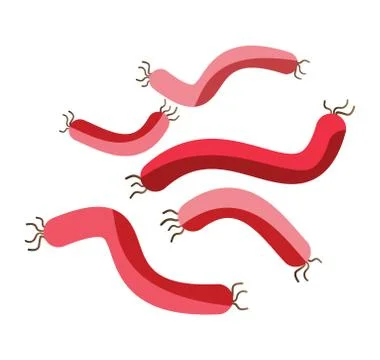 Bacteria virus vector icon Stock Illustration