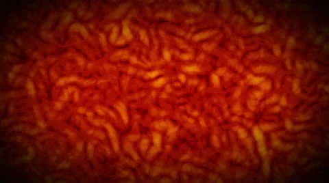 Bacteria virus worms motion background loop Stock Footage 58779138