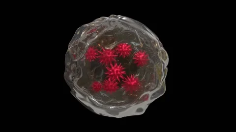 Bacteria, viruses in ice. Microbes in thawing ice. 3d animation render. Stock Footage 265178301