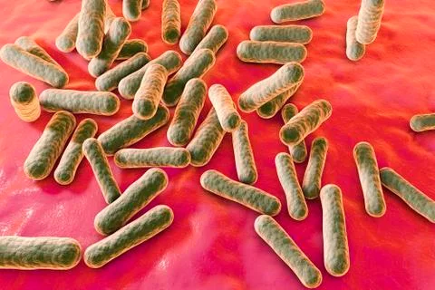 Bacteria which cause acne Stock Illustration