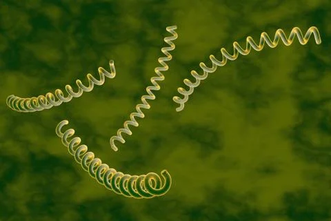 Bacteria which cause syphilis, Treponema pallidum Stock Illustration