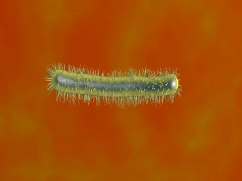 Bacteria with wriggling cilia Stock-Footage 73451387