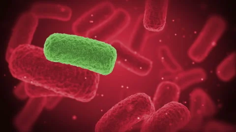 Bacteria X-Ray Stock Footage 51723496