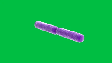 Bacteria02 Stock Footage 143126840