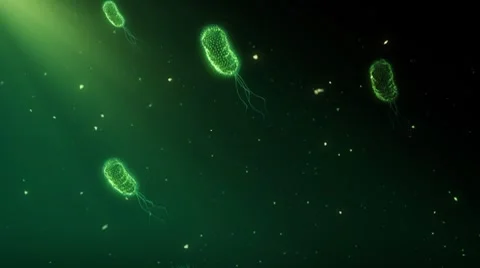 Bacteria_008 Vidéo 8561873