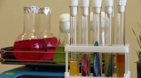 Bacterial agar on the shaker and grass background panning  closeup Stock Footage 61367873