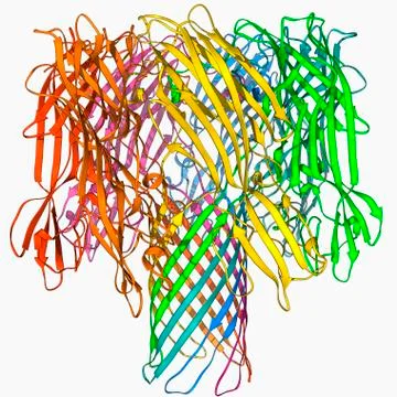 Bacterial alpha-hemolysin toxin Stock Illustration