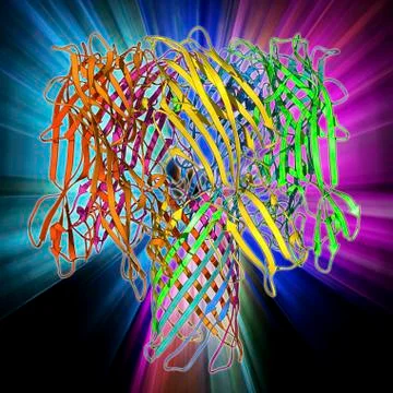 Bacterial alpha-hemolysin toxin Stock Illustration