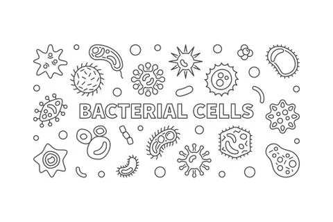 Bacterial cells horizontal banner. Vector outline illustration Stock Illustration