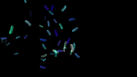 Bacterial-Colony-Simulation Stock Footage 314063117