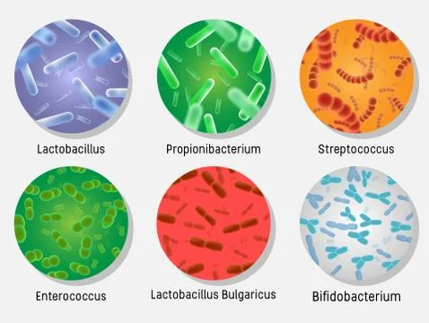 Bacterial flora in circle set, vector isolated illustration Illustrazione stock