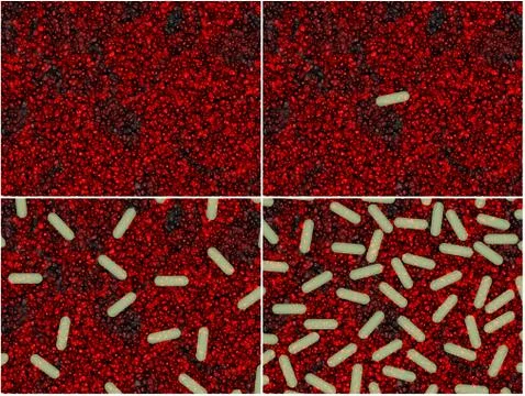 Bacterial growth Stock Illustration