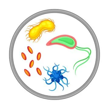 Bacterial Microorganism and Disease-causing Objects in Circle Vector 库存插图