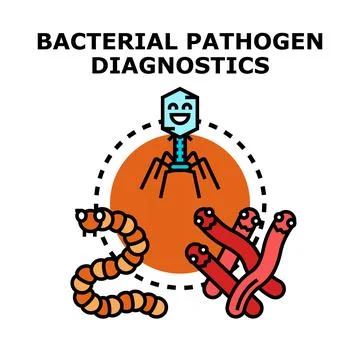 Bacterial pathogen diagnostics concept with diverse microorganisms Stock Illustration