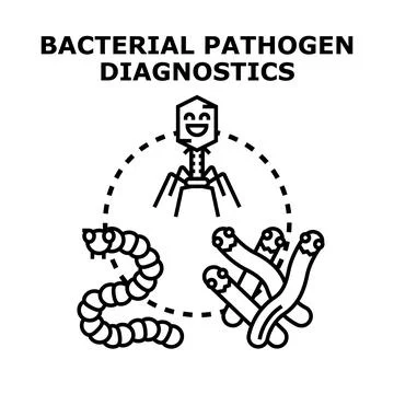 Bacterial pathogen diagnostics concept with diverse microorganisms Stock Illustration