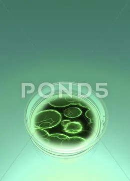 Bacterial research, conceptual artwork Stock Illustration