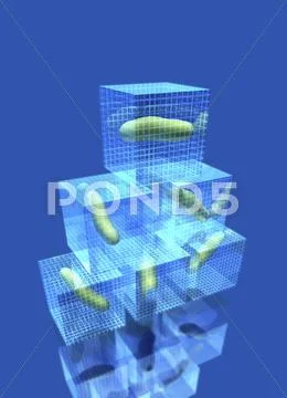 Bacterial research, conceptual artwork Stock Illustration