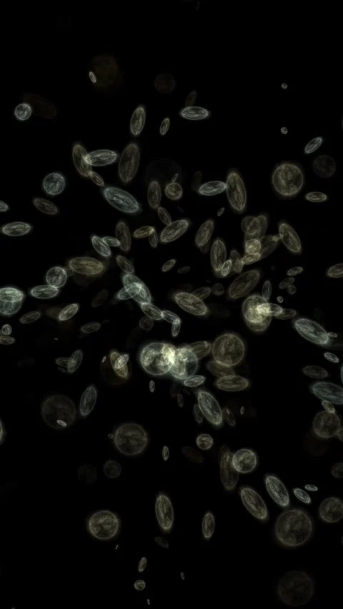 Bacterial threat, microorganisms cells moving fast, vertical video. Stock Footage 330394376