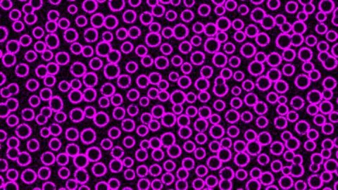 Bacterial under microscope, abstract background Stock Illustration