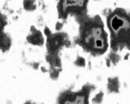 Bacteriano 库存影片 101751