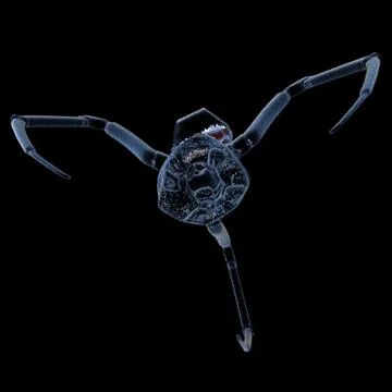 Bacteriaphage 3D Model