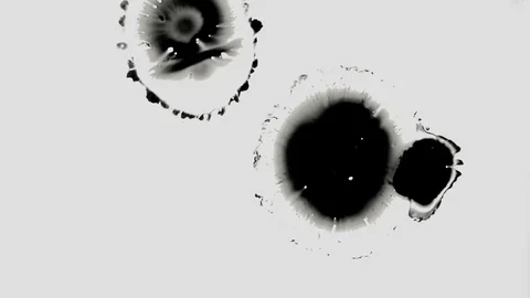 Bacterias breeding under microscope Video stock 77513793