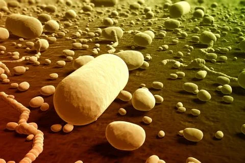 Bacterias. Illustrazione stock