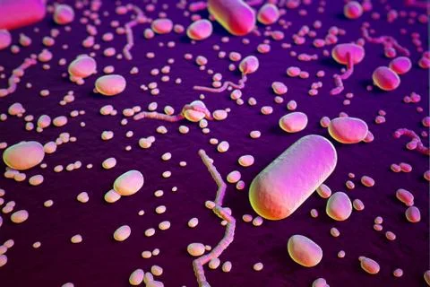 Bacterias. 스톡 일러스트