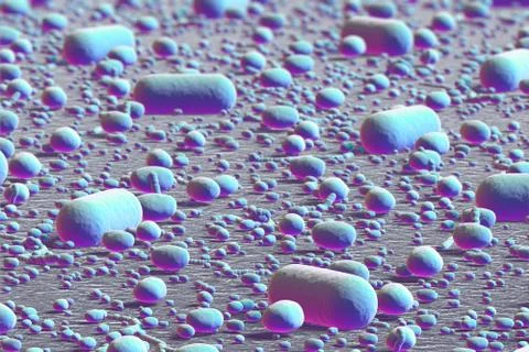 Bacterias. Illustration