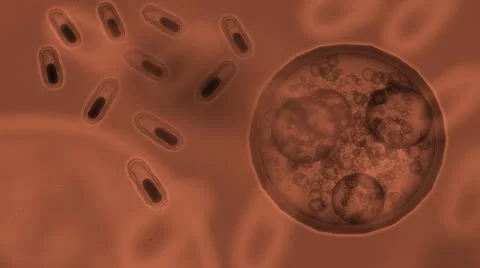 Bacterias under microscope in orange Stock Footage 12494324